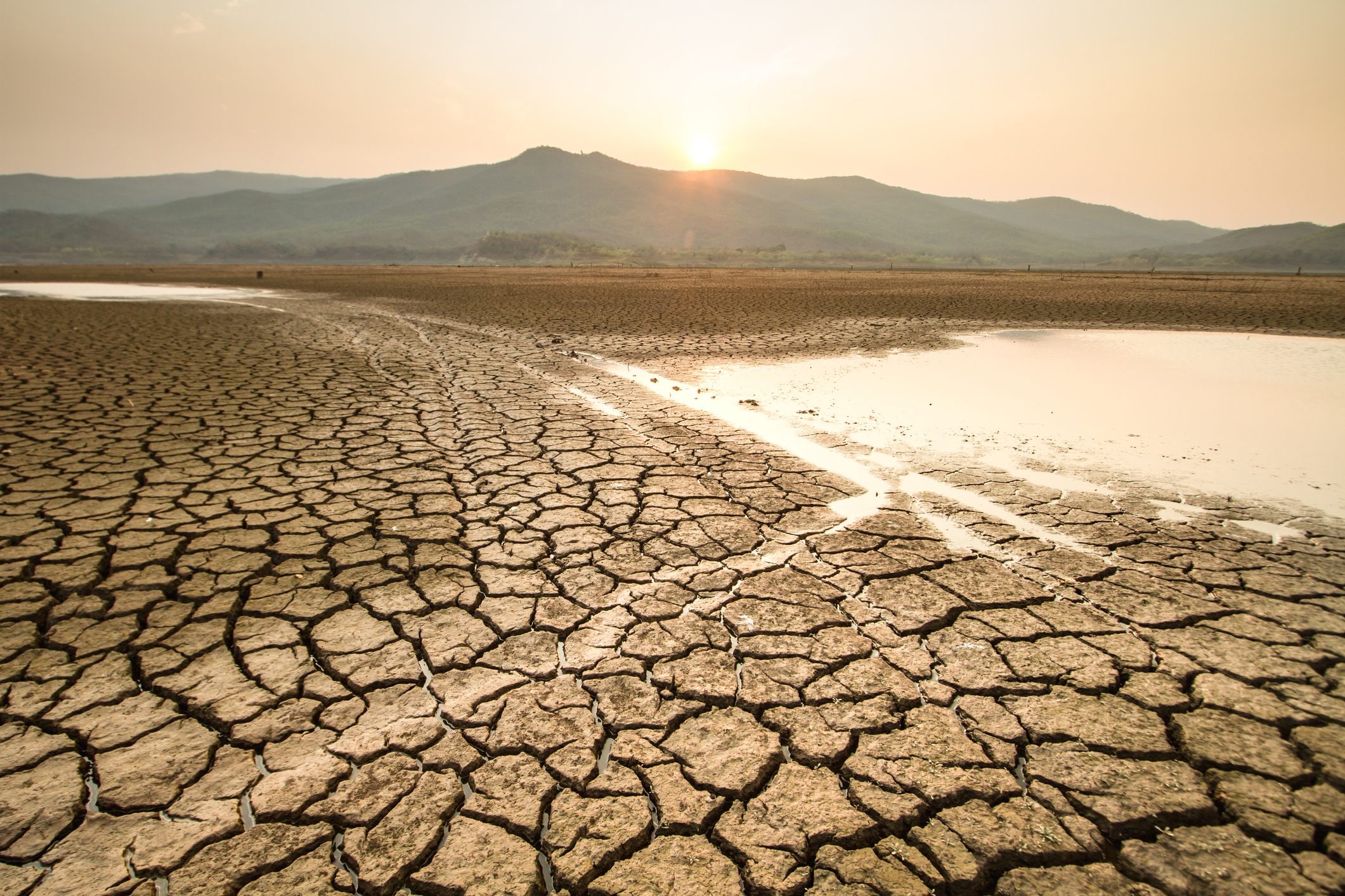 Scopri di più sull'articolo El Niño e la Niña, ecco come cambiano clima e temperature: le differenze