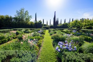 Scopri di più sull'articolo I 5 consigli per l’orto e il giardino d’estate