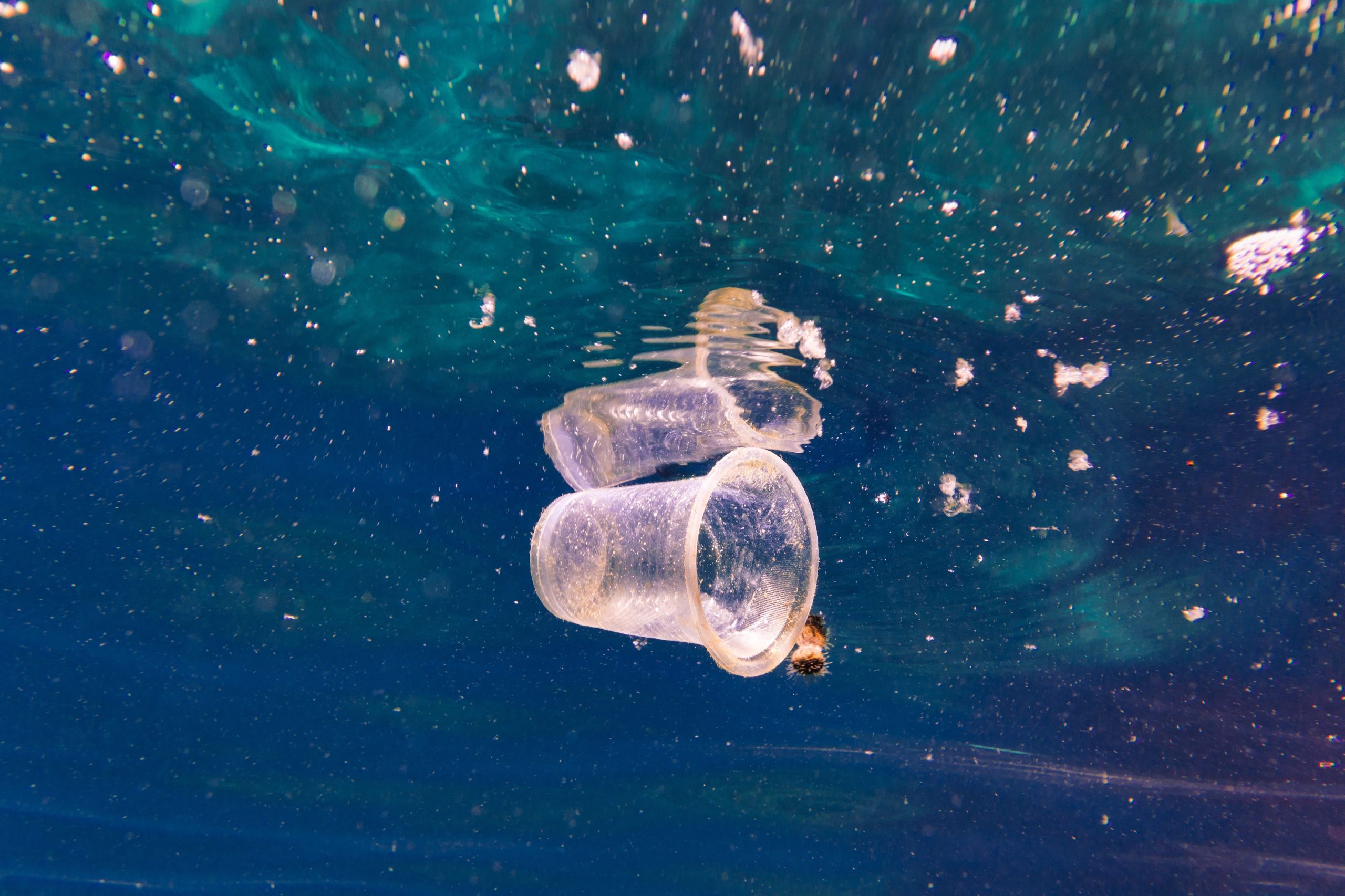 Scopri di più sull'articolo Due ragazzi di 17 anni creano un dispositivo in grado di rimuovere il 94% delle microplastiche dall’acqua