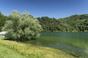 Scopri di più sull'articolo Bilancino, Renai, Accesa, Gramolazzo: i 4 laghi toscani balneabili in cui rinfrescarsi