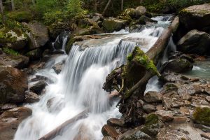 Scopri di più sull'articolo Le 5 cascate più spettacolari del Trentino: quando la visita ripaga tutta la fatica