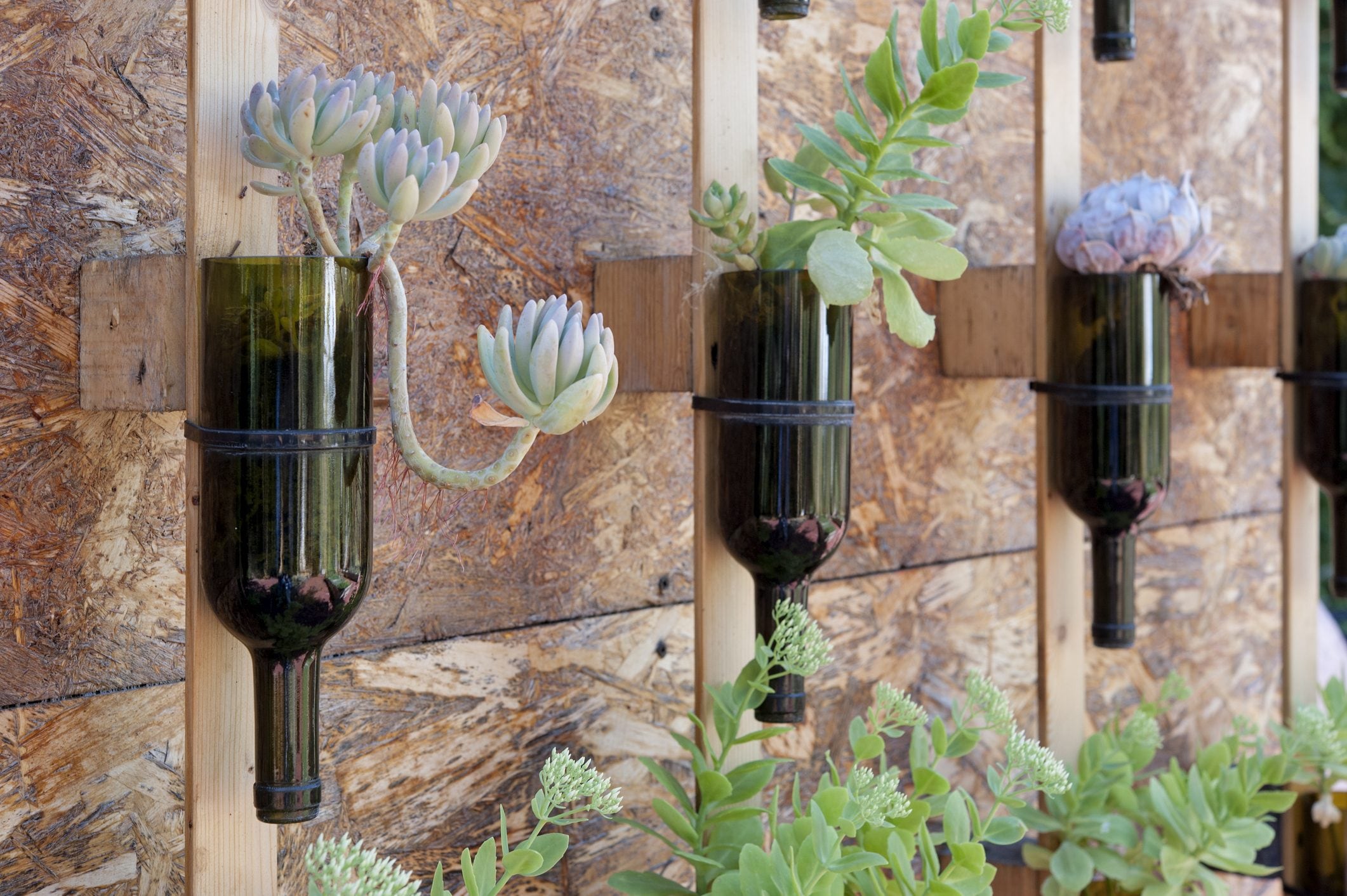 Scopri di più sull'articolo Il nuovo trend: riciclare le bottiglie di vino usando il taglia bottiglie