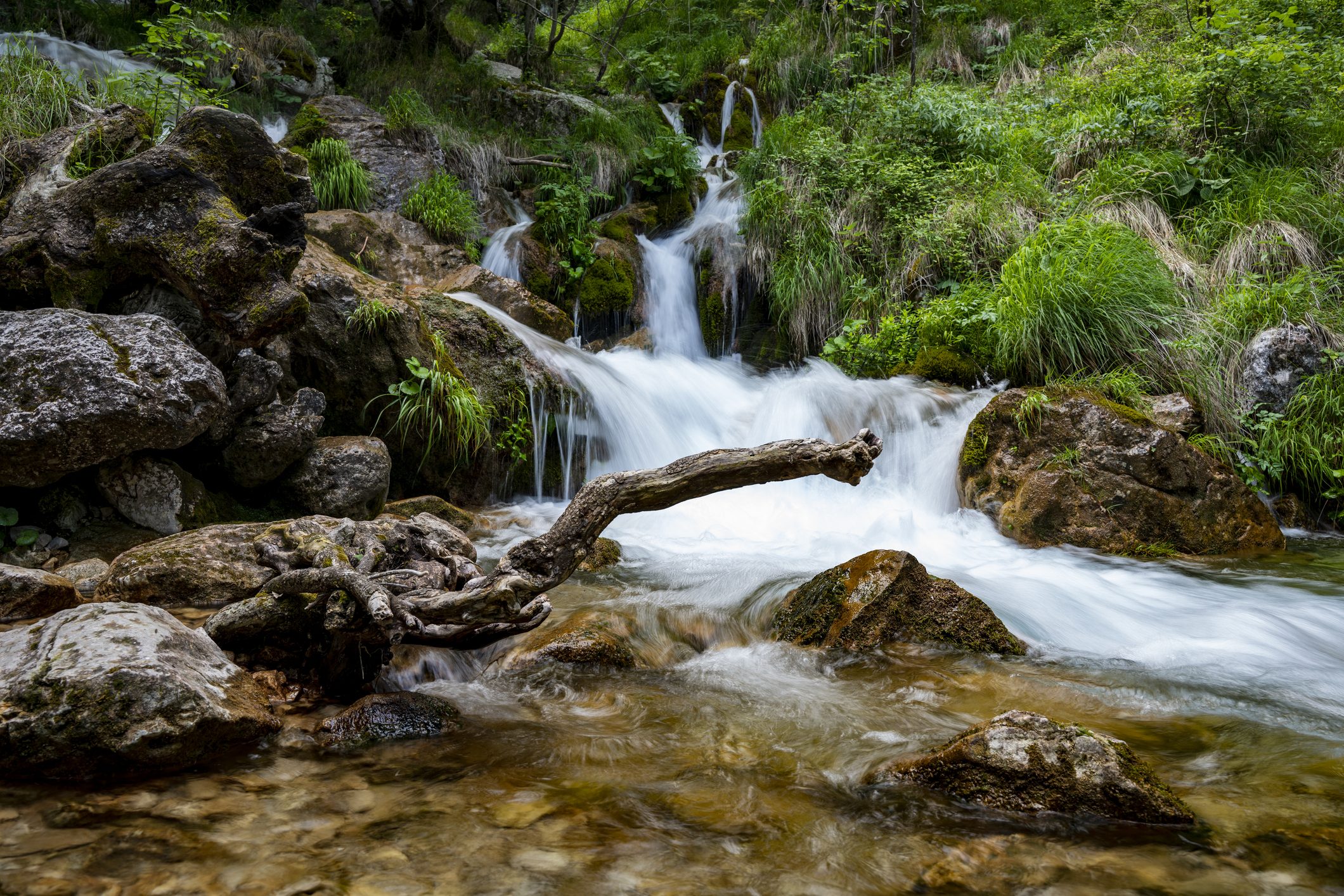 Scopri di più sull'articolo Le 10 riserve naturali più belle dell’Abruzzo, compresa la terza più grande d’Italia