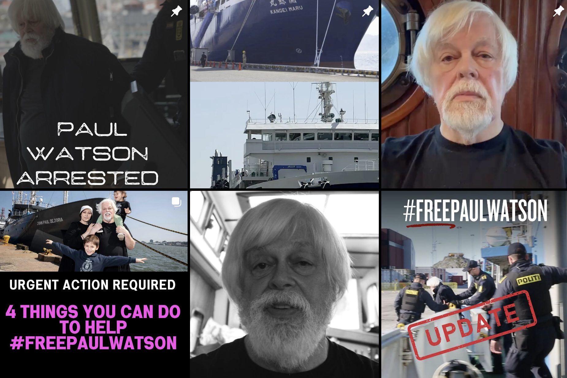 Scopri di più sull'articolo Chi è Paul Watson , l’ambientalista arrestato perché impediva la caccia alle balene