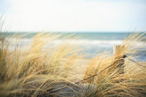 Scopri di più sull'articolo Le 10 spiagge italiane più popolari su Instagram e TikTok