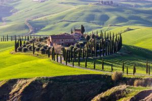 Scopri di più sull'articolo Cinque motivi per scegliere l’agriturismo come meta per le tue ferie estive