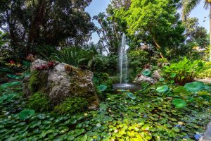 Scopri di più sull'articolo I giardini botanici più belli in Italia: da Firenze a Ischia, gli imperdibili