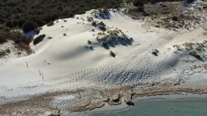 Scopri di più sull'articolo Alla scoperta delle 10 spiagge con dune più belle d’Italia