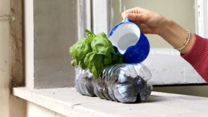 Scopri di più sull'articolo Cosa fare se hai tante bottiglie di plastica in casa: 6 idee di riciclo creativo