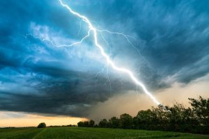 Scopri di più sull'articolo Cosa succede ad un albero quando viene colpito da un fulmine?