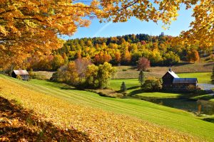 Scopri di più sull'articolo La città del Vermont che ha bandito gli influencer durante il foliage per proteggere l’ambiente e le loro case