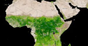 Scopri di più sull'articolo Il deserto del Sahara si sta trasformando in una foresta: cosa sta succedendo in Africa?