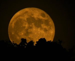 Scopri di più sull'articolo Arriva la Superluna del Cacciatore, sarà la Luna più grande dell’anno: ecco il giorno in cui vederla