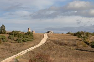 Scopri di più sull'articolo Tratturo Magno, il cammino abruzzese alla scoperta della transumanza