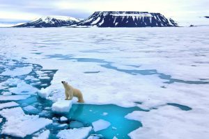 Scopri di più sull'articolo Nuovo strumento NASA per combattere il cambiamento climatico