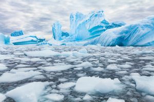 Scopri di più sull'articolo L’Antartide sta diventando verde: come è successo e perché è un problema