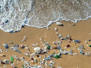 Scopri di più sull'articolo La plastica riciclata potrebbe diventare cibo: come e quando