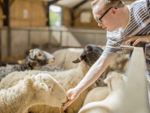 Scopri di più sull'articolo Ecovillaggi in Emilia-Romagna, per un’esperienza di vita davvero sostenibile