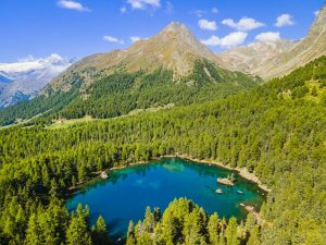 Scopri di più sull'articolo Lago di Saoseo: perché è considerato il più incantevole della Svizzera