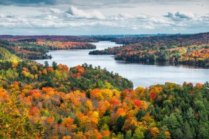 Scopri di più sull'articolo Il foliage più bello del mondo: 10 destinazioni da non perdere