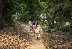 Scopri di più sull'articolo Colombia, il paese al mondo più pericoloso per gli ambientalisti