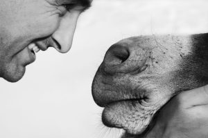 Scopri di più sull'articolo Perché solo gli esseri umani hanno il mento?