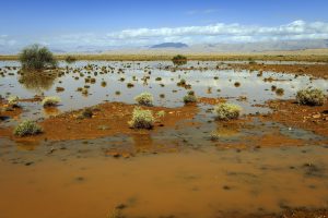 Scopri di più sull'articolo Il Sahara si allaga per la prima volta dopo 50 anni