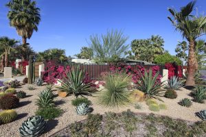 Scopri di più sull'articolo Xeriscaping, i giardini “secchi” per risparmiare risorse idriche