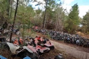 Scopri di più sull'articolo Scoperta shock in un bosco: ritrovati oltre 4mila moto e scooter abbandonati, i danni ambientali sono incalcolabili