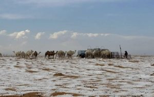 Scopri di più sull'articolo Neve nel deserto dell’Arabia Saudita: un evento storico