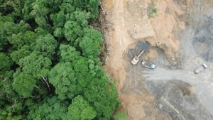 Scopri di più sull'articolo Rallenta la deforestazione dell’Amazzonia in Brasile: raggiunto il livello più basso degli ultimi 9 anni