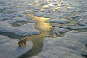 Scopri di più sull'articolo Le COP sul clima per come esistono oggi non servono più: le parole degli ex Segretari delle Nazioni Unite