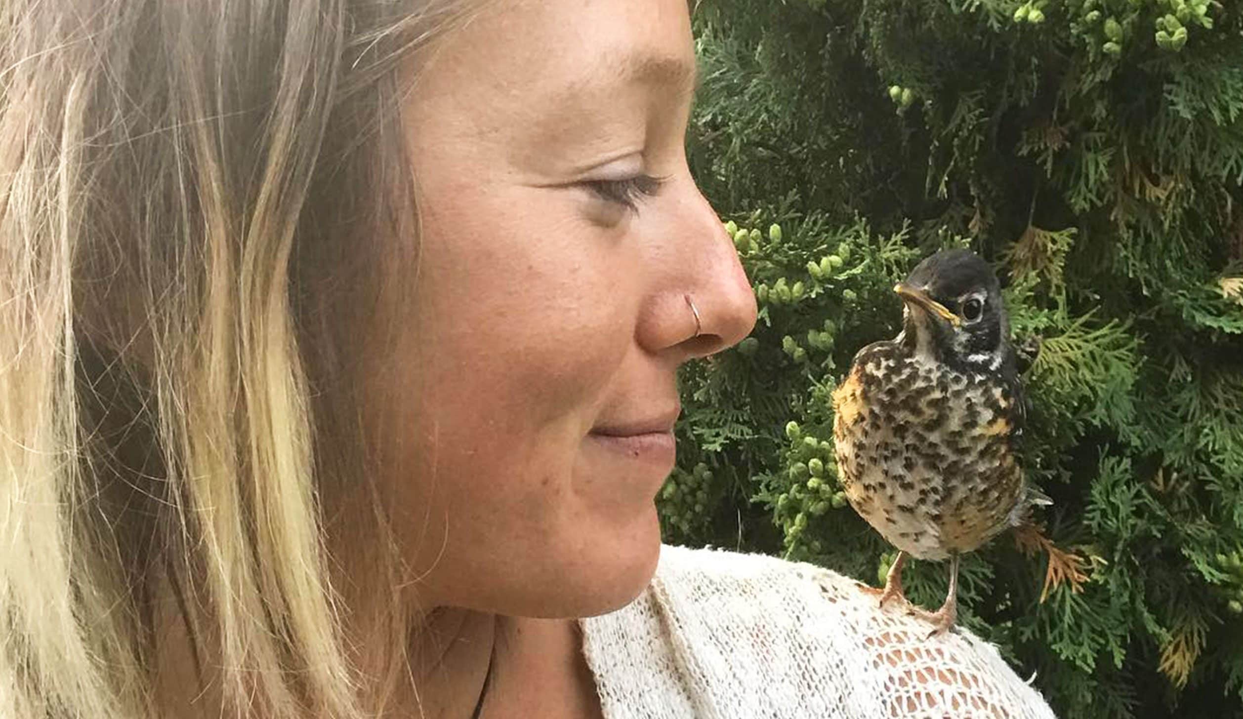 Scopri di più sull'articolo Il simbolismo e il significato del pettirosso: simbolo di rinnovamento e speranza