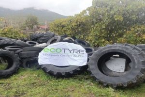 Scopri di più sull'articolo Ecotyre corre veloce sulla strada del recupero PFU