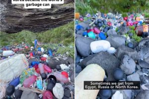 Scopri di più sull'articolo Anche nelle isole più remote e incontaminate è arrivata la plastica (abbandonata da Paesi lontani)