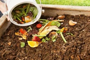 Scopri di più sull'articolo Compost, Cic: “Rigenerare il verde delle città attraverso lo urban carbon farming”