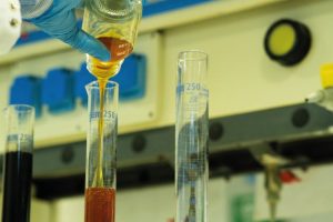 Scopri di più sull'articolo Rendicontazione sostenibile e parità di genere, la svolta del CONOU