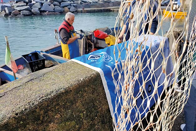Scopri di più sull'articolo Se la mitilicoltura va a rete