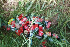 Scopri di più sull'articolo Da Moretti a Coca-Cola, da San Benedetto a Red Bull: le 10 marche di bevande che si trovano più spesso disperse nell’ambiente