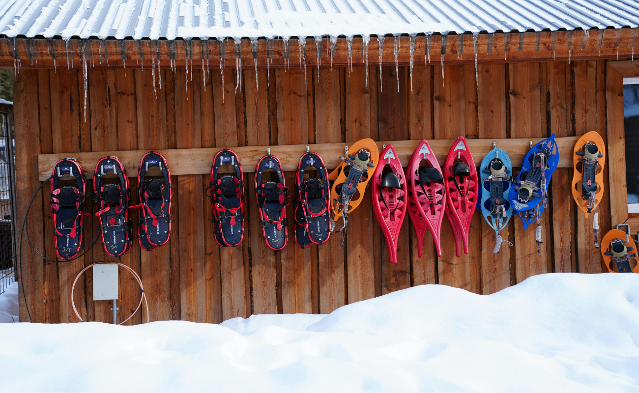 Scopri di più sull'articolo Guida alla ciaspolata consapevole, 10 consigli per la tua escursione sulla neve