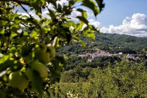 Scopri di più sull'articolo Parte Progetto Appennino 2026